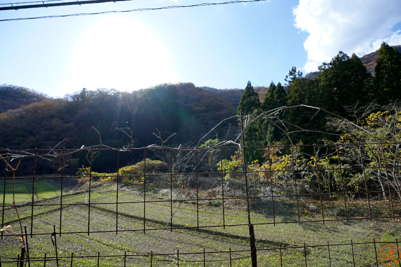 312040_（論）鞍居神社（上郡町野桑）│神社好き式内社を訪ねる