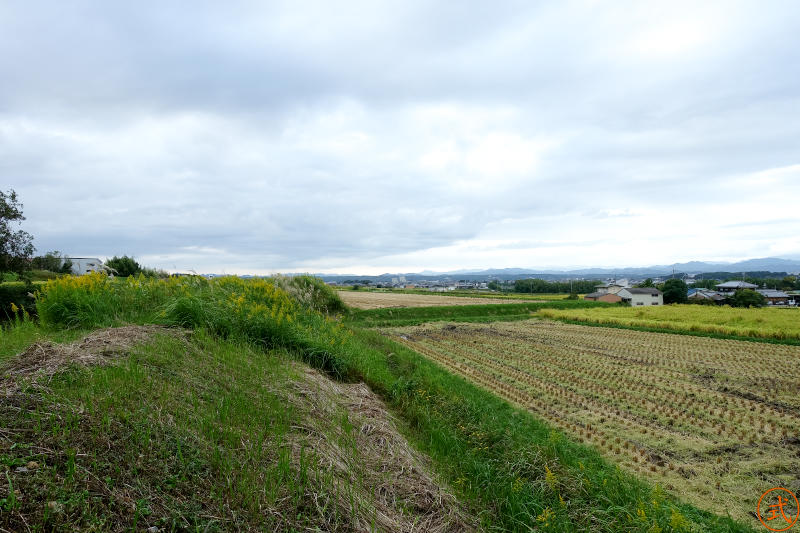 鳥居前より正面（西）を望む。左手に池、周囲は田畑が広がる。北へ向かって丘陵地になっていることが分かる。