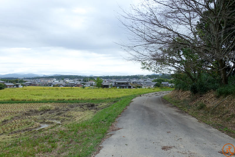 鳥居前より右（北）を望む。北側から回り込んで神社の正面まで来るこの道しかアプローチできないのでちょっとだけ難しい。
