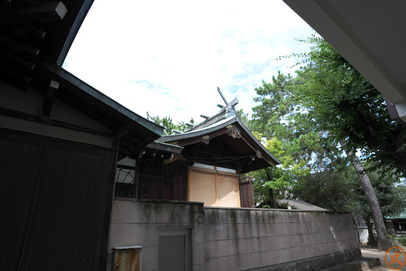 拝殿の右側より奥の本殿を望む。本殿は塀の中にあって見ることが出来ないのが残念。