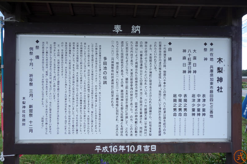 神社謹製の由緒書き。ご祭神は大直日神（おおなおびのかみ）・八十枉津日神（やそまがつひのかみ）・神直日神（かみなおひのかみ）と綿津見三神・住吉三神となっている。