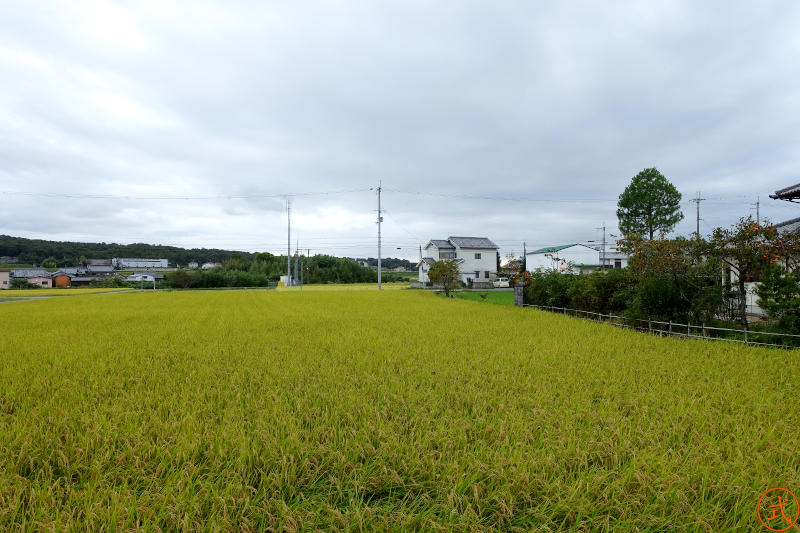 正面（南）を望む。この先200メートルほどのところに東条川が流れている。東条側の河岸段丘上にあることが分かる。