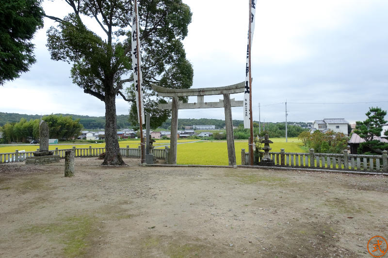 拝殿前より鳥居を望む。前に黄金色の田んぼが広がり良い景色。